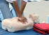 CPR Training